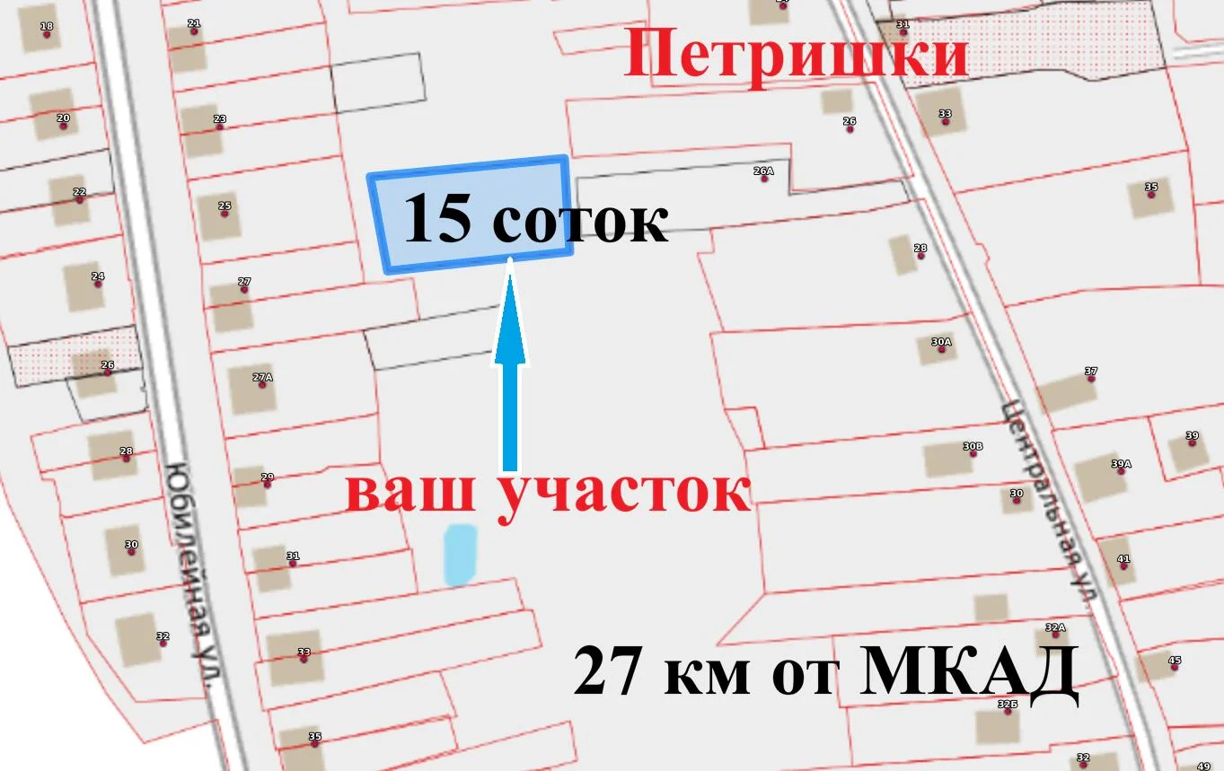 Купить участок, Петришки
