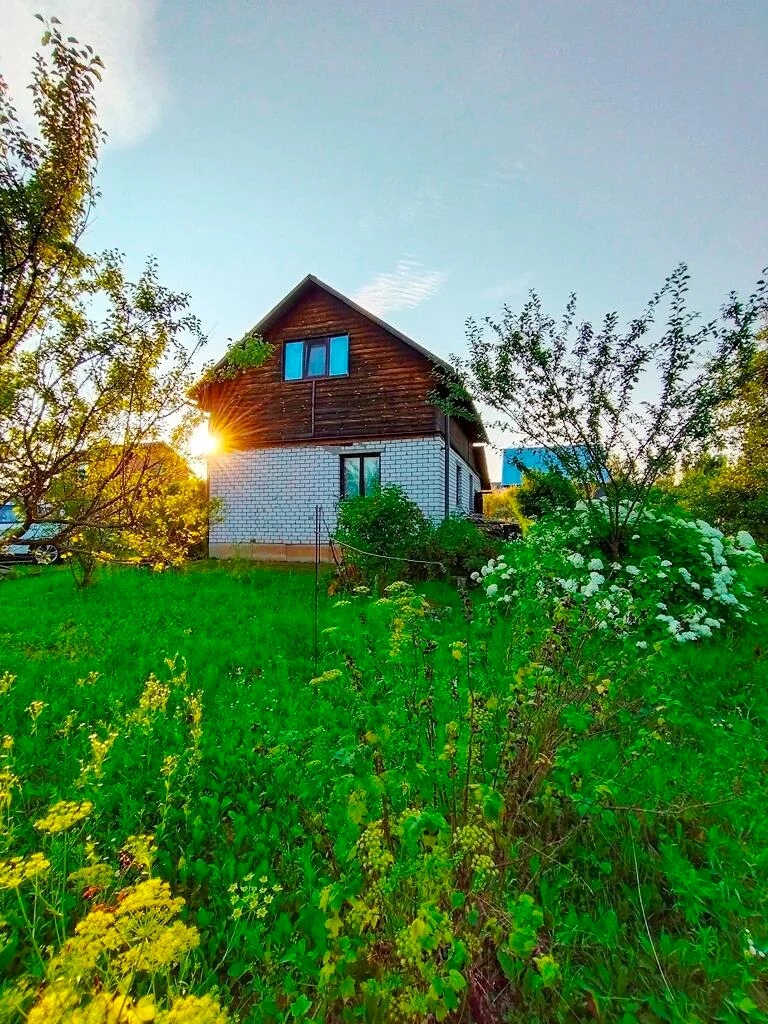 Купить дачу, Рамонак, красивая 48